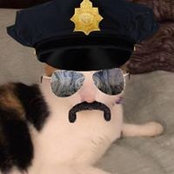 Foto de Michael Rando
