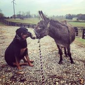 Laura Muller's photo