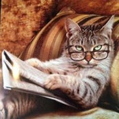 Maribeth Alexandrou's photo