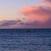 Steve Bellers foto