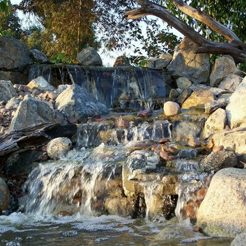Best of  www.socalpondpros.com