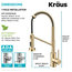 Bolden Commercial Pull-Down 1-Handle Kitchen Filter Faucet, 3-Function, SFACB