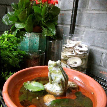 Frog pond