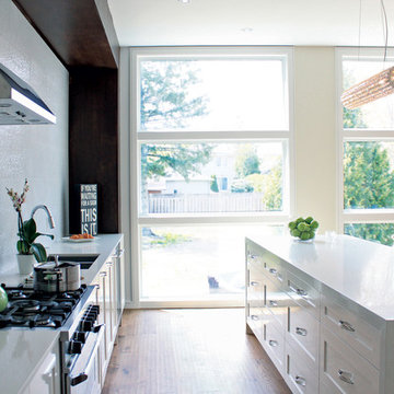 Gorgeous White Contemporary Kitchen Renovation