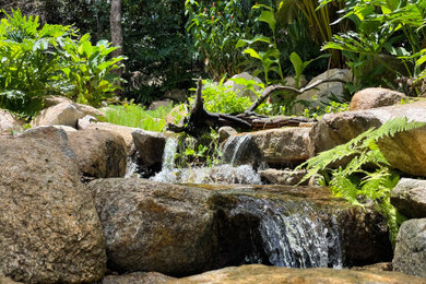 Modelo de jardín tropical con cascada