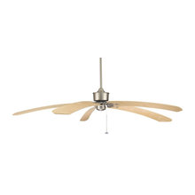 ceiling fans