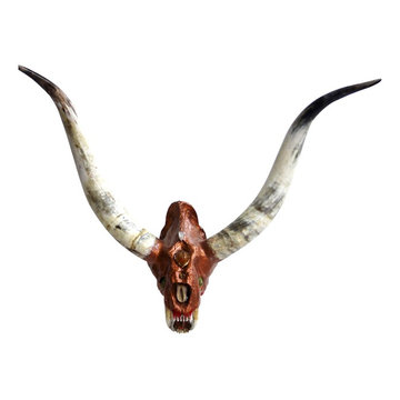 Sabretooth Oxen Longhorn Skull - Wall Art & Decor - Statues & Figures