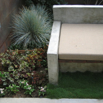 Garden for Reflection and Awareness