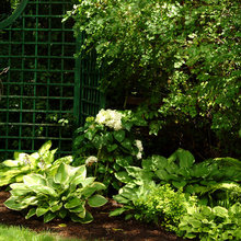 WESTVIEW GARDENS
