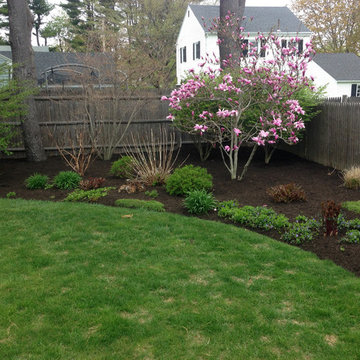 Our Work