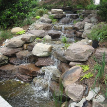 betsy_borge's ideas