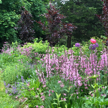 Mixed Planting Border