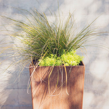 COR-TEN Planter with Carex testacea and Sedum rupestra 'Angelina'