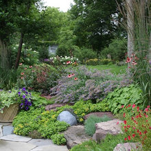 border planting