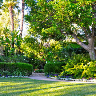 Trees Landscaping | Houzz