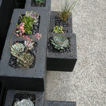 Garden Ideas