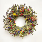 VanCortlandt Farms - Nature's Palette, 30" - Riotously colorful smorgasbord of everlastings, artfully modern design. Handmade with all natural dried flowers that will last for years to come if hung indoors away from sunny windows. If hung outdoors away from sunlight, this wreath will likely last one season.