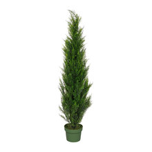 Outdoor Decor