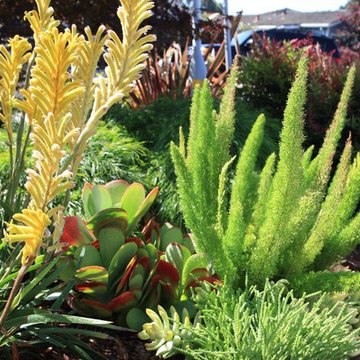 Planting Design