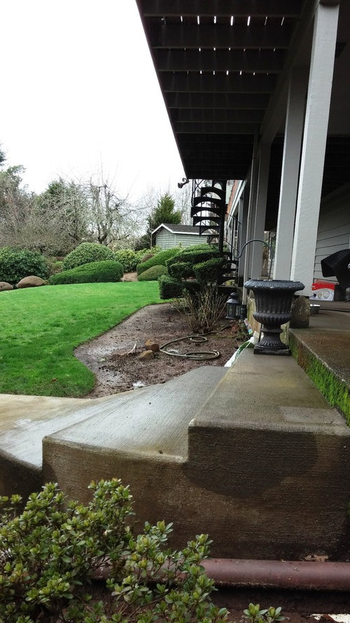 Empty flower beds...Need help with ideas to fill them on a budget!