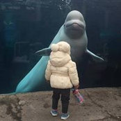 Maureen Howley-Brigham's photo