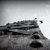 Emily Ford's photo