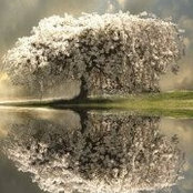 Foto de Michele Howard
