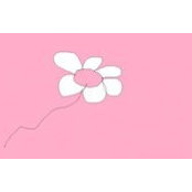 Ana Polak's photo