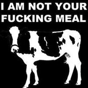 Scarlett Baume's photo