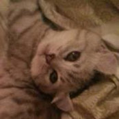 Foto von ＞＿＜Maggie＞＿＜ ＞＿＜Maggie＞＿＜