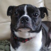 Caroline Gleeson's photo