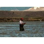 Michael Scheiman's photo