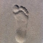 Mark Walter's photo