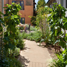 arbor/sitting area in vegetable garden