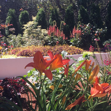 Kentfield Contemporary Garden 2