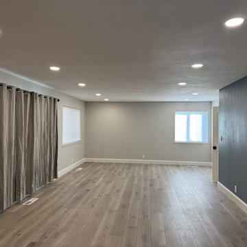 Home Remodel/ One Bath/paint/popcorn removal/LED Can lights/baseboards/Flooring