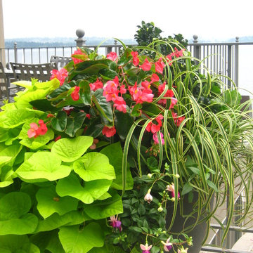 Lakeside Deck