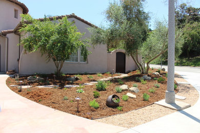 Inspiration for a southwestern landscaping in San Diego.
