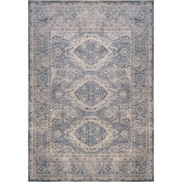 Dynamic Rugs Sirus Shrink Polyester Machine-Made Area Rug 5x7.8'