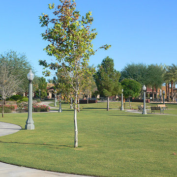 Province Maricopa