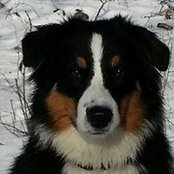 Foto von Joan Cunningham
