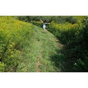 Alane Schmelkin's photo