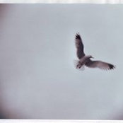 Neil Hulihan's photo