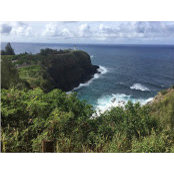 Lisa Ballesteros's photo