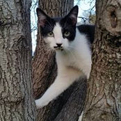 Celeste Everett's photo