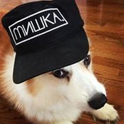 Alex Rogozhin's photo