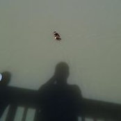 Michael Beckner's photo