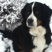 Heidi Rozow's photo