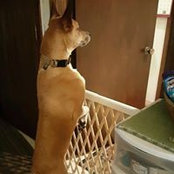 Nick Litwiller's photo