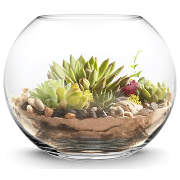 CYS Glass Bubble Bowl Vase, Fish Bowl Aquarium/Terrarium, Diameter-16", 2 Pieces